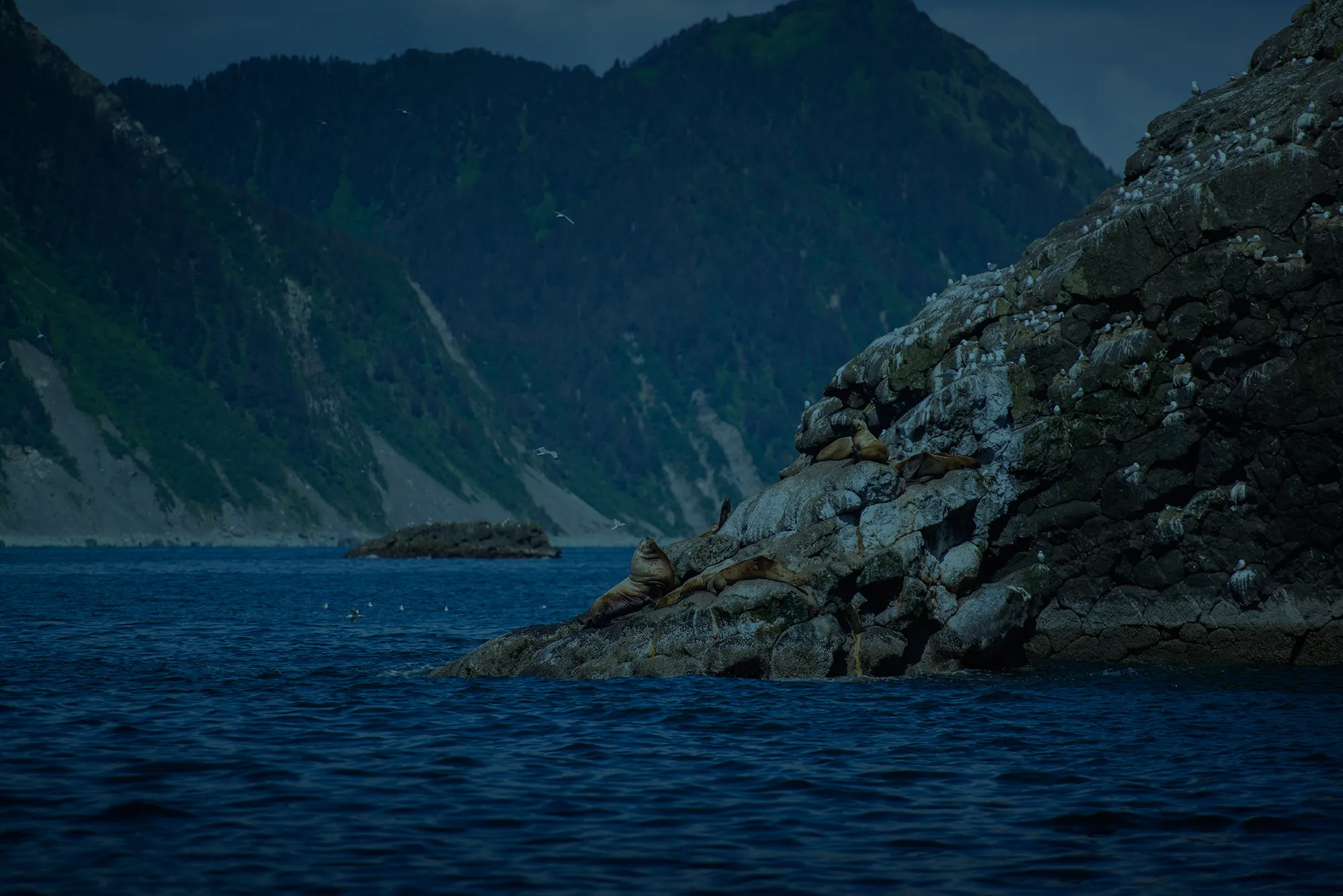 Most robust shareholder management system in Alaska